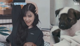 어쩌개 강형욱 다음 펫방 3.0을 이야기하다