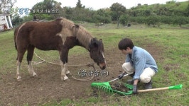 콩콩팜팜 이광수가 도경수의 신하가 된 느낌이 든 이유 [종합]