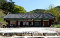 인삼인해, 금산첨화 요즘같은 때 떠나는 금산 힐링여행