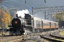 기차다! 삼척 하이원추추파크, 성수기 객실요금 인하