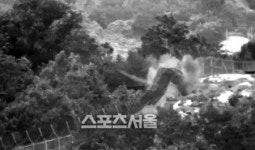 DMZ 목함지뢰 폭발사고, '당시 영상+현장' 보니…