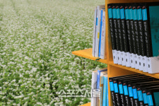 문향 그윽한 땅, 2015 평창효석문화제