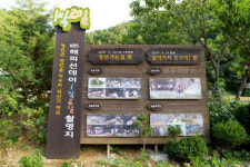 TV에서 봤던 그곳, 현실 속으로 가을 정선으로 떠나는 여행