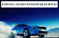 장기렌트카 및 리스, 신차드림에서 최저가비교견적 장점 살린 렌터카 출시