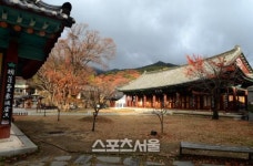 칠곡관광여행사주 | '대구는 연말여행의 베이스캠프' 대구 칠곡 명품여행