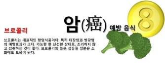 [그래픽] 암 예방 식품 8가지