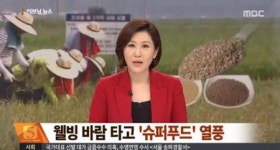 새해 건강 지킬 슈퍼푸드, 2016년 뇌 건강은 어떻게 지키나?