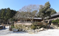 순천남도김치광양 | 푸짐하고 따끈한 남도의 봄, 여수 순천 광양 봄맞이