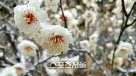 순천남도김치광양 | 푸짐하고 따끈한 남도의 봄, 여수 순천 광양 봄맞이