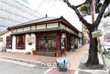 꽃보다 진해 그 봄날의 창원여행