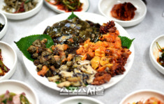 꽃보다 진해 그 봄날의 창원여행