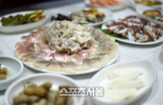 꽃보다 진해 그 봄날의 창원여행