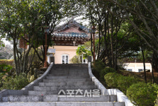 꽃보다 진해 그 봄날의 창원여행