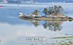 가봤니? 먹어봤지? 느껴봤니? 통영 봄바다