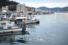 가봤니? 먹어봤지? 느껴봤니? 통영 봄바다