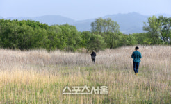 수채화 팔레트같은 매력 물씬, 봄날의 대구