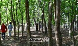 수채화 팔레트같은 매력 물씬, 봄날의 대구
