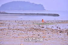 오월의 바다여행 눈,코,입 모두 즐거운 서해 보령이 제격