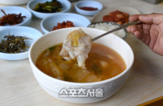 척하면 삼척 휴가박사의 선택은? 한 여름의 삼척