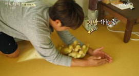 [삼시세끼 돋보기 ①] 만재도보다 다양해진 ‘케미’조합