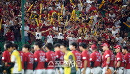 4위 SK 스윕에 열광하는 KIA팬들[SS포토]