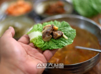 산,바다,계곡...동해의 보물단지 포항 여름여행