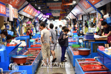 산,바다,계곡...동해의 보물단지 포항 여름여행