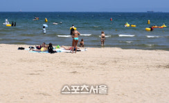 산,바다,계곡...동해의 보물단지 포항 여름여행