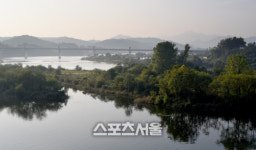 활짝 펴 가을 안은 대한민국의 중원 충주 풍경길 여행