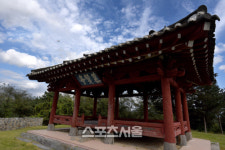 활짝 펴 가을 안은 대한민국의 중원 충주 풍경길 여행