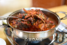 활짝 펴 가을 안은 대한민국의 중원 충주 풍경길 여행