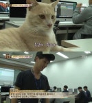 동물농장 캠퍼스 슈퍼스타 고양이 특강이, 역대급 존재감