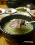 황금들에도 옥빛 바다에도 풍년 가을, 풍요로운 고장 장흥여행