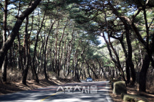 바야흐로 양산이 필요할 봄, 양산으로 떠난 상춘여행