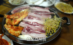 일상의 짜증과 스트레스로부터의 피난. 피난수도 부산 여행