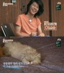 효리네 이상순, 실제 집 오픈한 이유? 최대한 자연스럽게