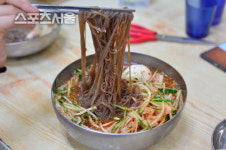 [핵 ZONE 맛집]어머님은 평냉이 싫다고 하셨어  非평냉계 냉면명가 10선