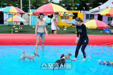 개리비안베이? 반려견과 견주가 함께 물놀이하는 워터파크 DOG판타지아
