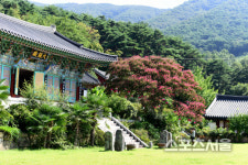붉은 벽 아래 누천년의 풍류를 즐기는 곳, 가을의 전남 화순