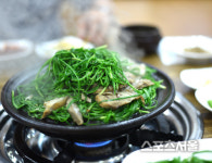 붉은 벽 아래 누천년의 풍류를 즐기는 곳, 가을의 전남 화순