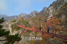 오매, 단풍 들었네! 대둔산 & 마이산 호남 단풍여행