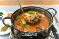오매, 단풍 들었네! 대둔산 & 마이산 호남 단풍여행