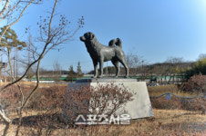 [신년특집]개띠해, 개人주의 여행 의견의 고장 임실 오수