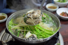 [핵ZONE맛집]죽어도 못잊어 생선계의 팜므파탈 복어 맛집