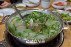 [핵ZONE맛집]죽어도 못잊어 생선계의 팜므파탈 복어 맛집