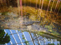 비옥한 산, 들, 바다 입맛이 춤추는 풍요의 고장 서천여행