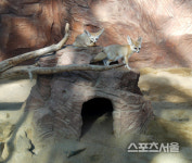 비옥한 산, 들, 바다 입맛이 춤추는 풍요의 고장 서천여행