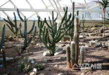 비옥한 산, 들, 바다 입맛이 춤추는 풍요의 고장 서천여행