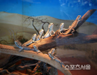 비옥한 산, 들, 바다 입맛이 춤추는 풍요의 고장 서천여행