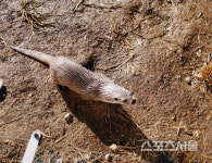 비옥한 산, 들, 바다 입맛이 춤추는 풍요의 고장 서천여행